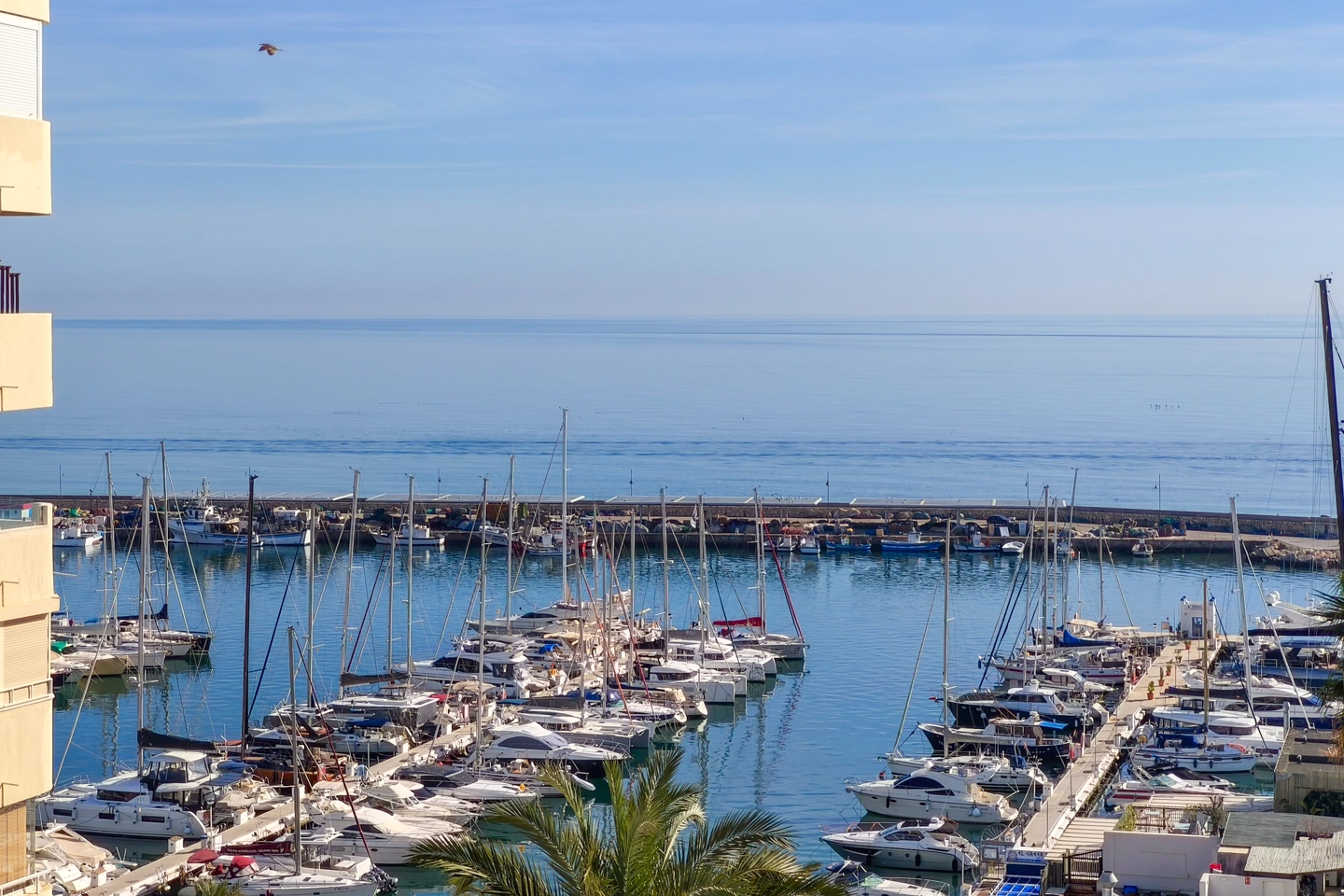 Paraiso1 6G 10-fotor-2025122210456